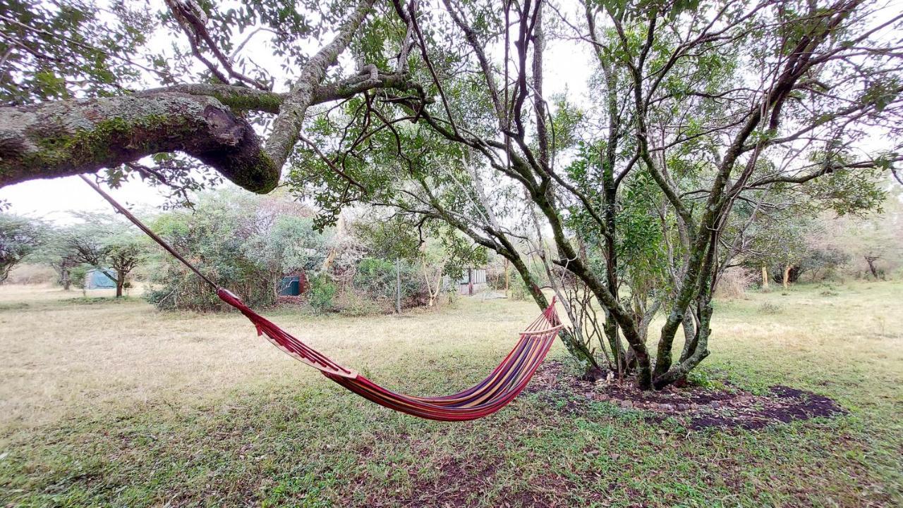 Greenwood Safari Camp Talek Zewnętrze zdjęcie