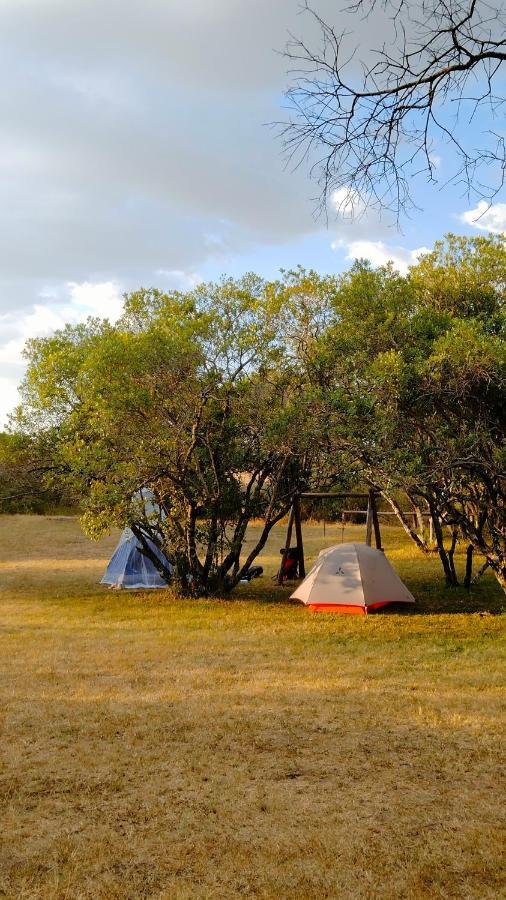 Greenwood Safari Camp Talek Zewnętrze zdjęcie