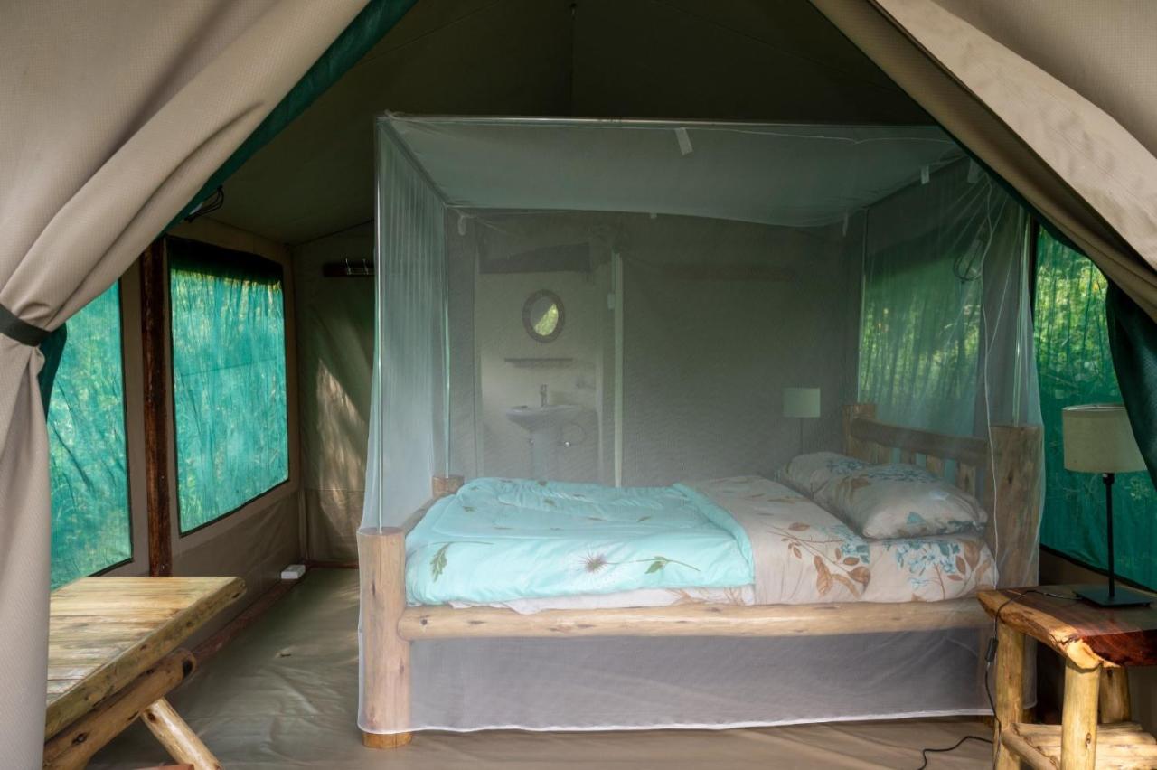 Greenwood Safari Camp Talek Zewnętrze zdjęcie