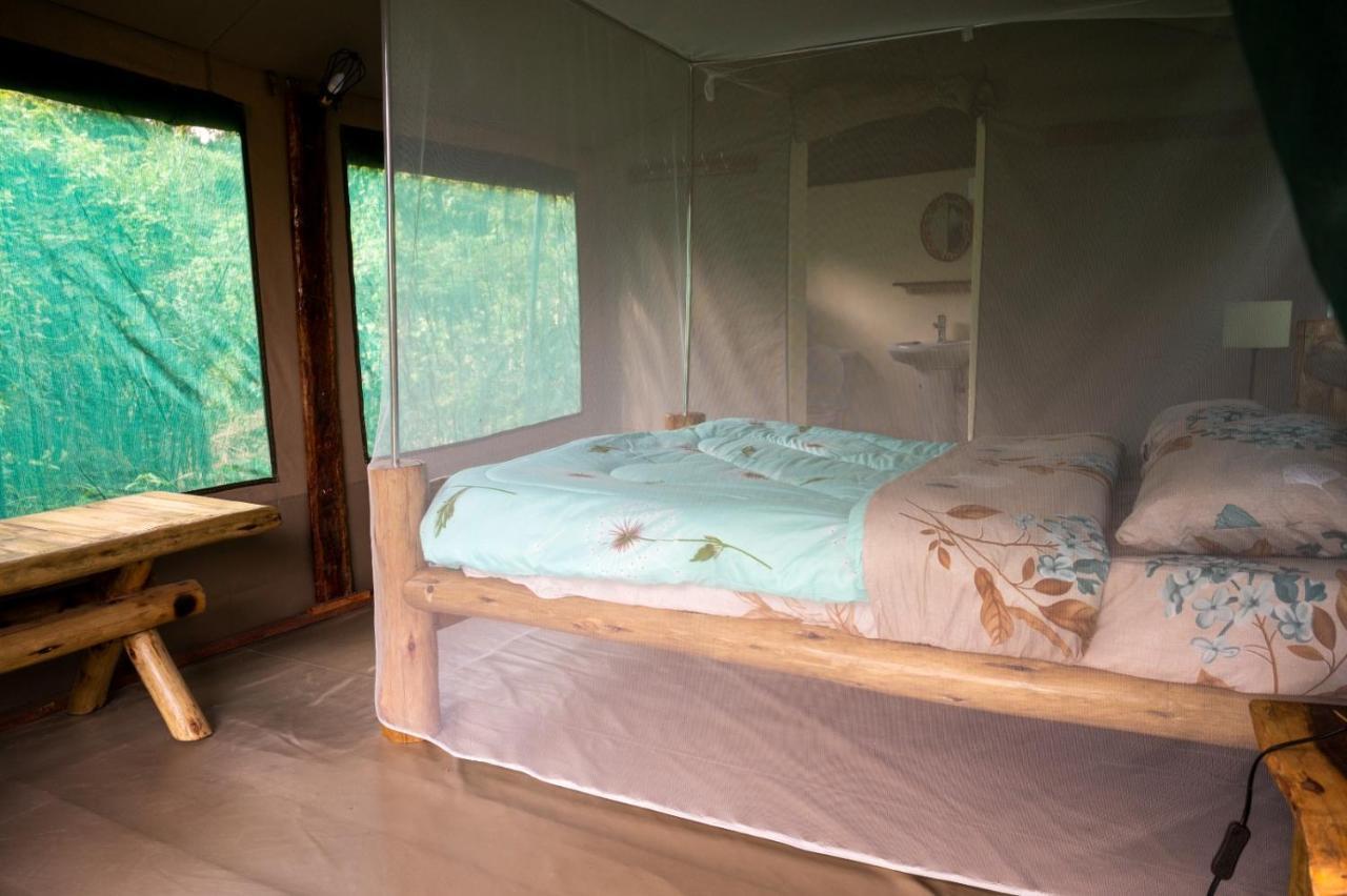 Greenwood Safari Camp Talek Zewnętrze zdjęcie